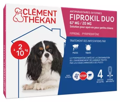CLEMENT-THEKAN